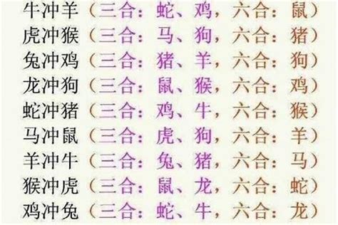 狗跟馬合嗎|马和狗的生肖兼容性：爱情和关系